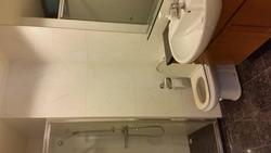 Amaryllis Ville (D11), Condominium #119462392
